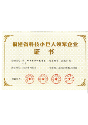 福建省科技小巨人领军企业证书